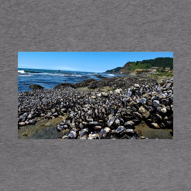 Otter Crest Beach Oregon by supernova23